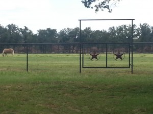 Rancho de las Brisas, Coastal Hay Pasture