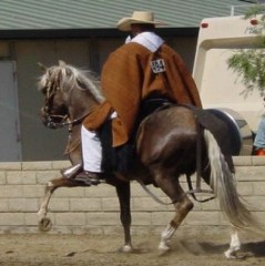 APACHE_UNDER_SADDLE_239x240